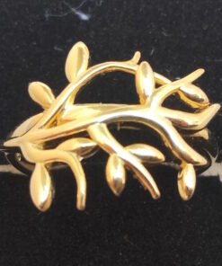 Anillo Redes