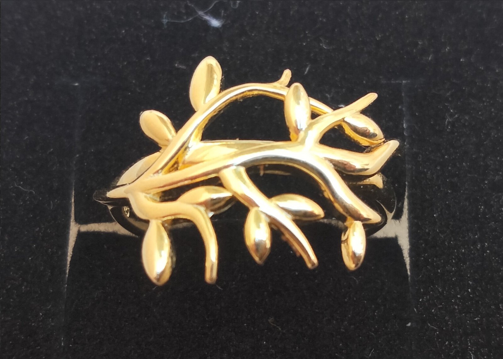 Anillo Redes